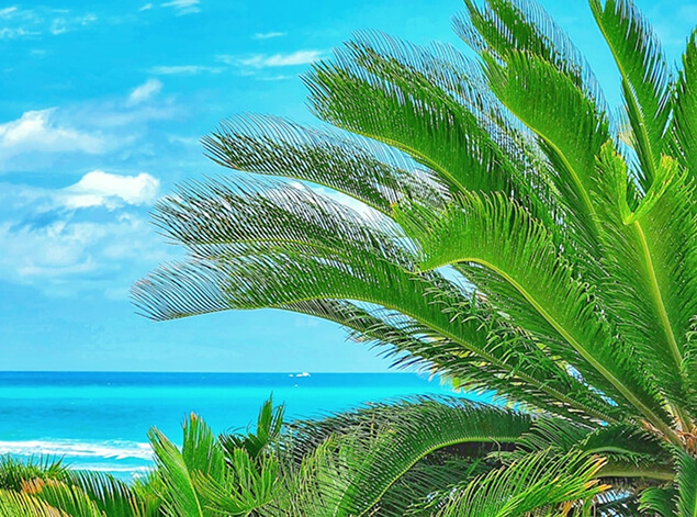 West Palm Beach to Turks & Caicos
